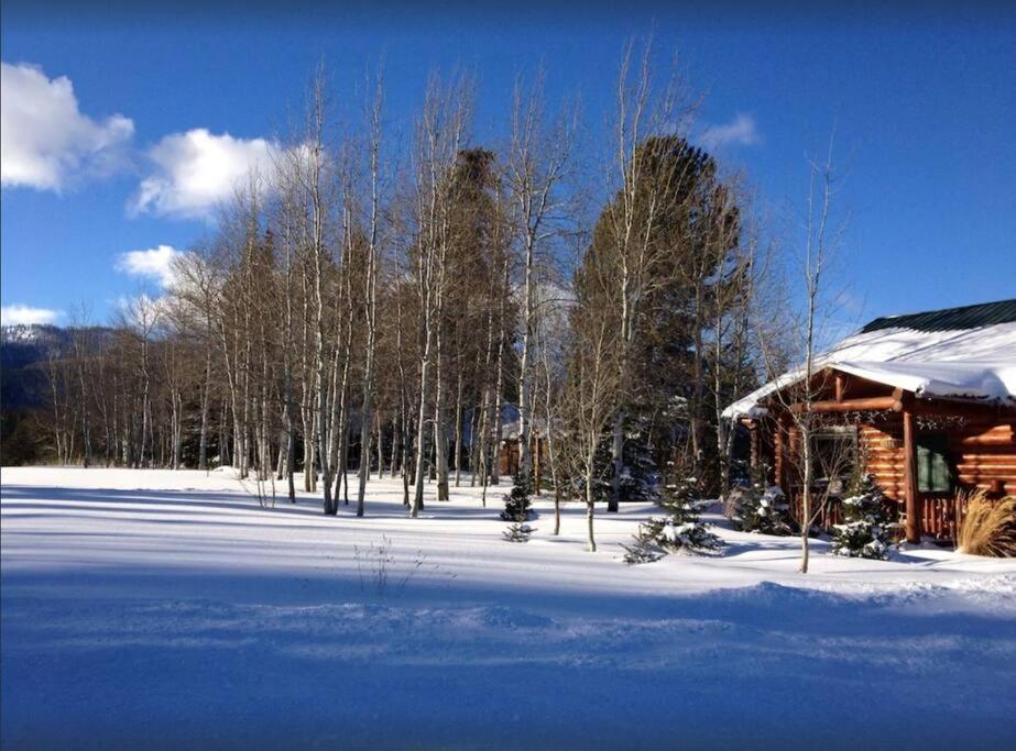 Lazy Fox Cabin West Yellowstone Εξωτερικό φωτογραφία