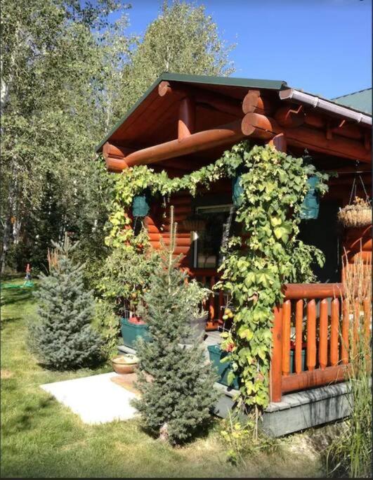 Lazy Fox Cabin West Yellowstone Εξωτερικό φωτογραφία