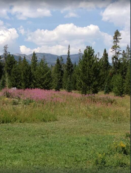 Lazy Fox Cabin West Yellowstone Εξωτερικό φωτογραφία
